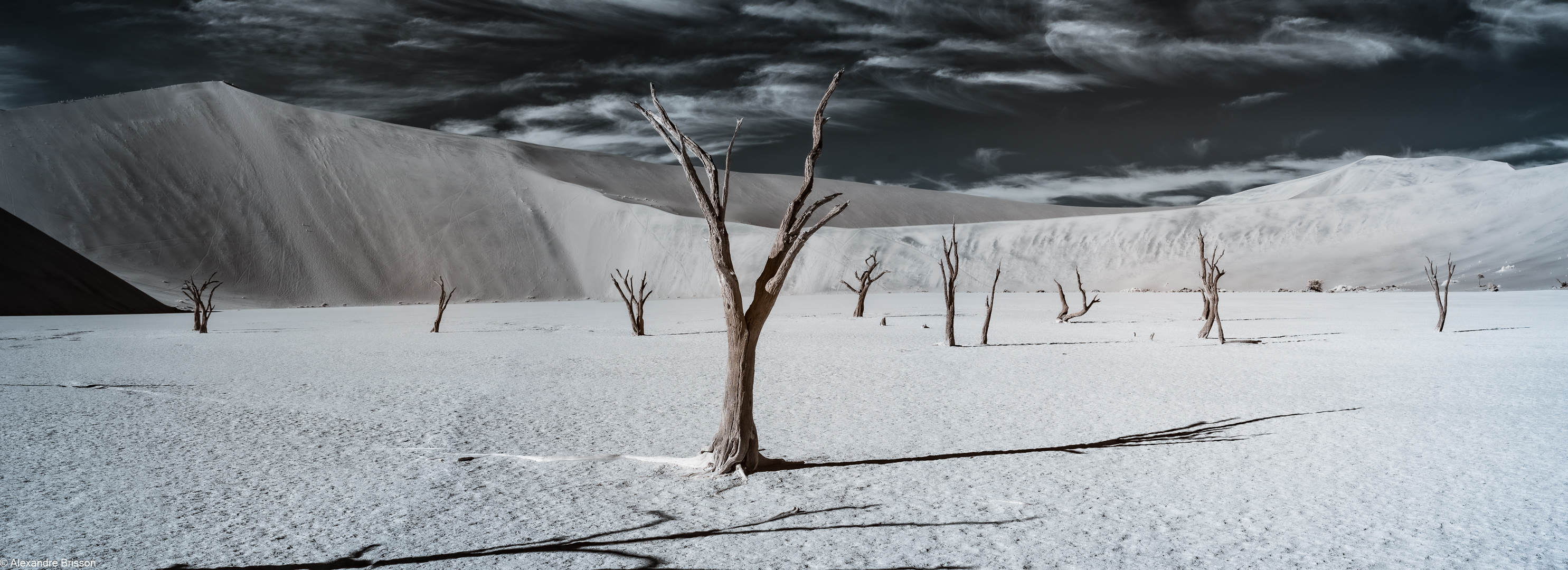 Deadvlei, Sossusvlei, Namibia, dead tree clay pan red dunes panorama